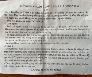 Ban nông nghiệp; Hội Nông dân xã Nghĩa Tiến Hướng dẫn bà con Nông dân ngâm ủ giống lúa lai 3 dòng VT 868 vào sản xuất vụ Xuân năm 2024.